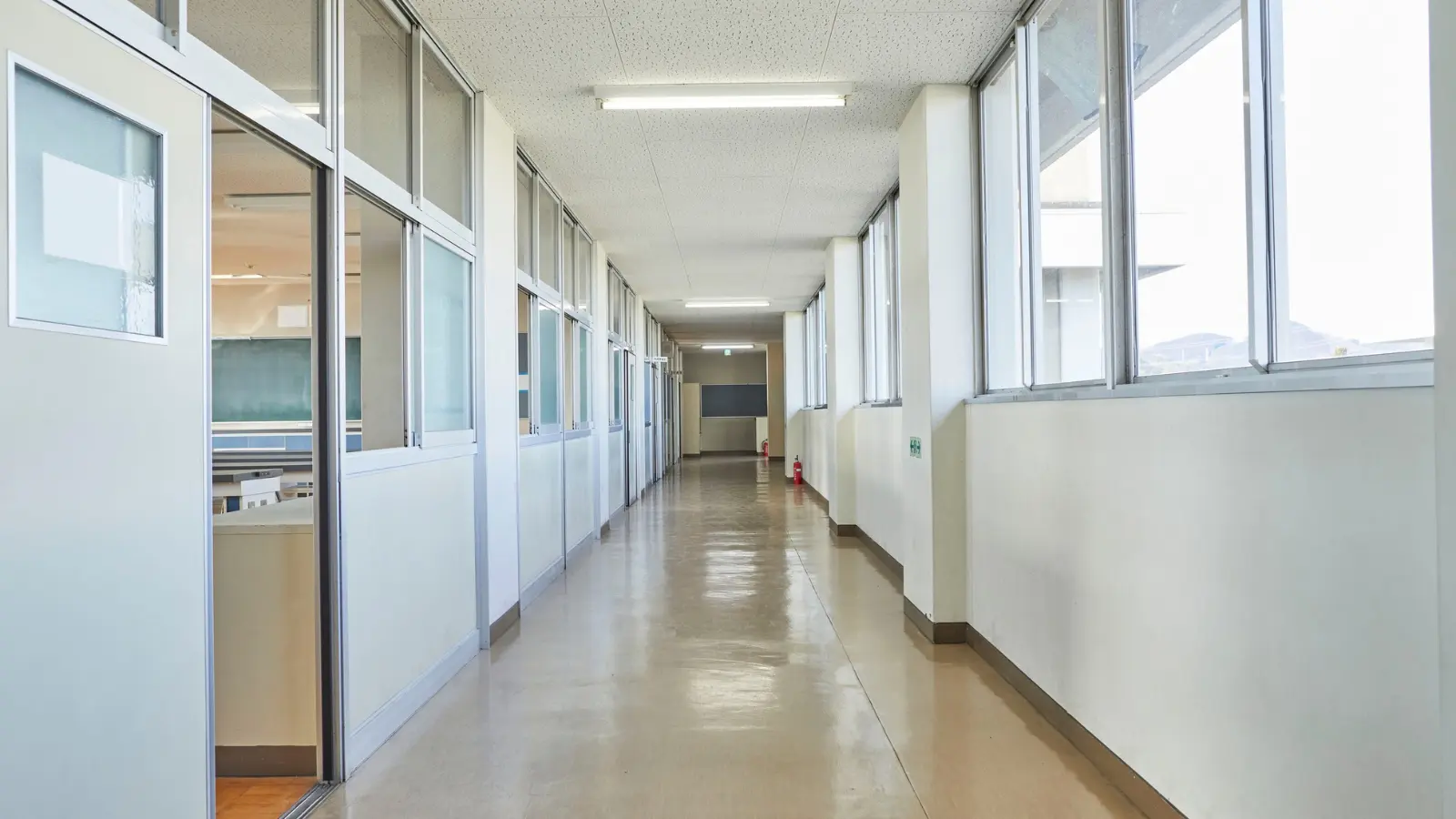 Best Slogans for School
