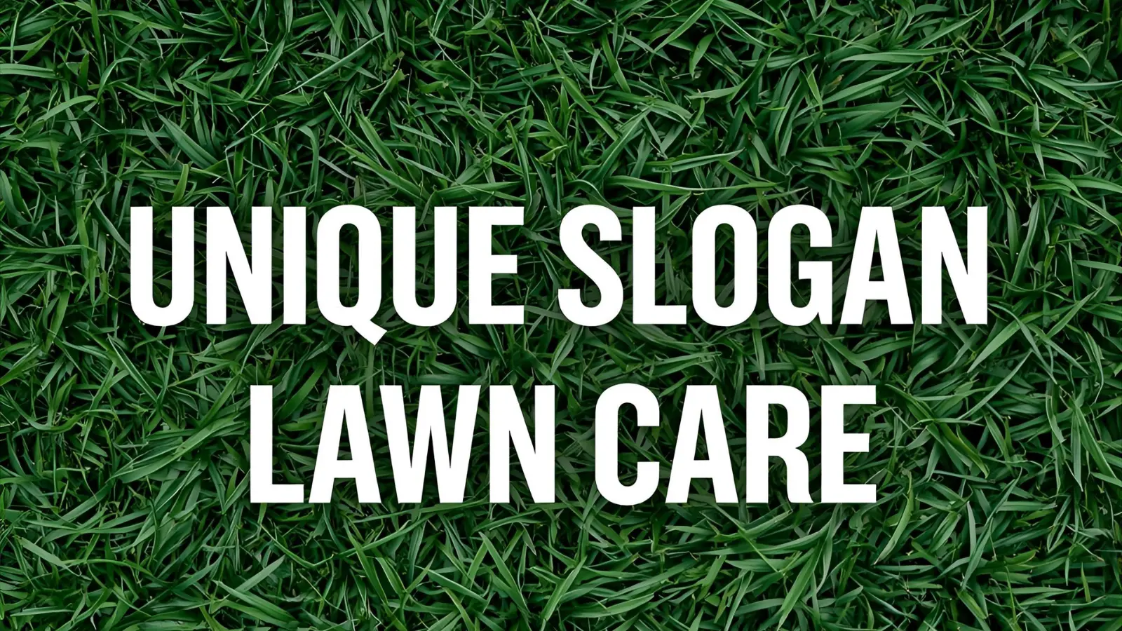 Unique Slogan for Lawn Care