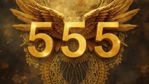 555 angel number meaning